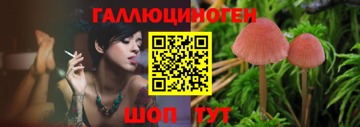 Каменск-Шахтинский  Галлюциногенные грибы MAGIC MUSHROOMS  Псилоцибиновые грибы Cubensis  Вход с VPN 